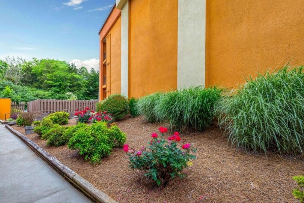 Days Inn by Wyndham Knoxville East image 8